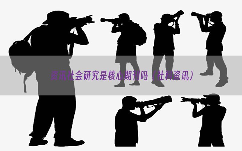 资讯社会研究是核心期刊吗（社科资讯）