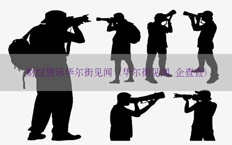 财经资讯华尔街见闻（华尔街见闻 企查查）