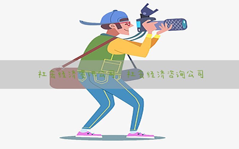 社会经济资讯公司，社会经济咨询公司