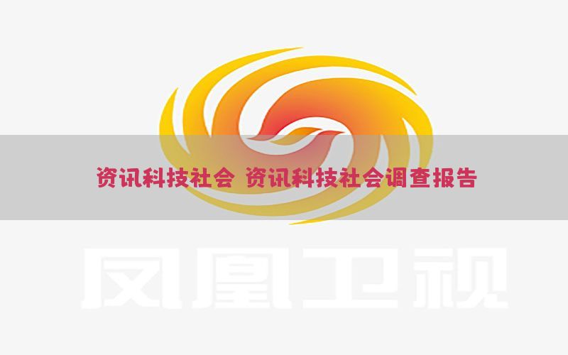 资讯科技社会，资讯科技社会调查报告