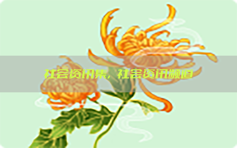 社会资讯集，社会资讯频道