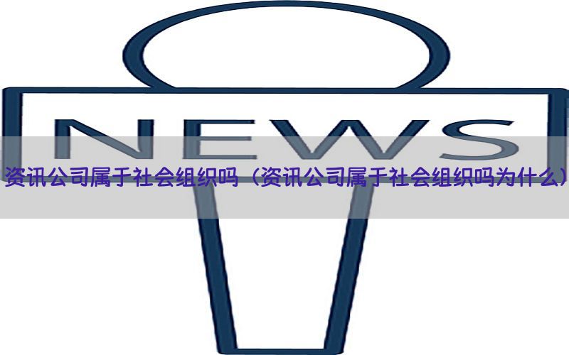资讯公司属于社会组织吗（资讯公司属于社会组织吗为什么）