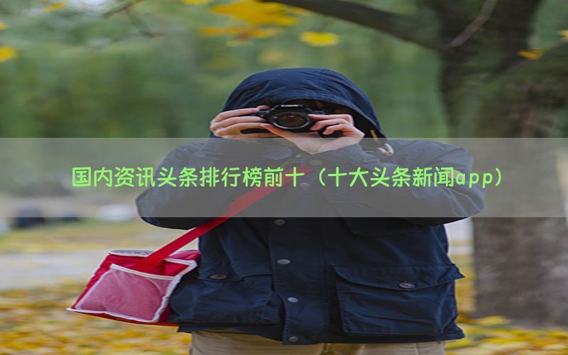 国内资讯头条排行榜前十（十大头条新闻app）
