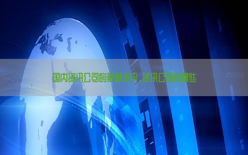 国内资讯公司的薪酬水平，资讯公司有哪些