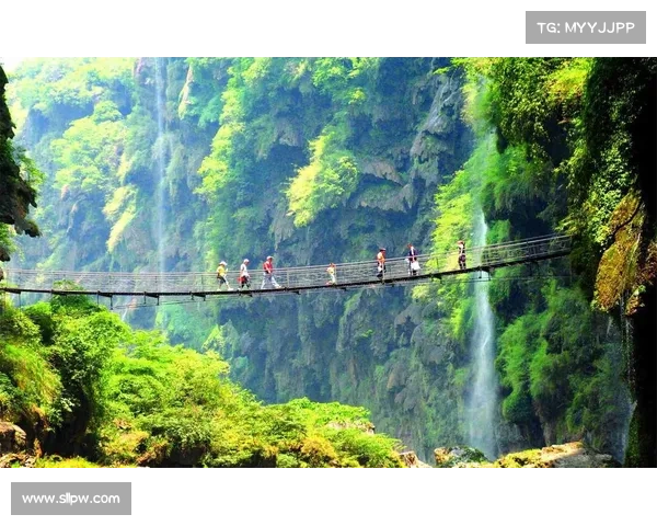 兴义2016年赛事;兴义赛鸽俱乐部