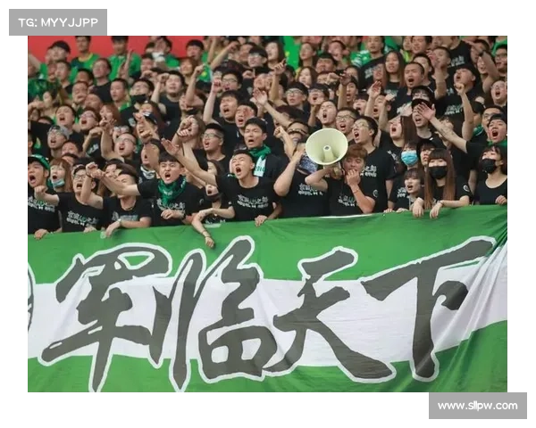 国安2017 国安2017